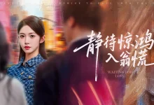 最新短剧《静待惊鸿入翁慌》全集在线免费观看-野人短剧网