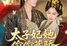 最新短剧《太子妃她偷偷藏骄龚小钧》全集在线免费观看-野人短剧网