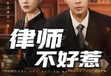 最新短剧《律师不好惹》全集在线免费观看-野人短剧网
