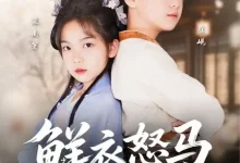 最新短剧《鲜衣怒马少年郎》全集在线免费观看-野人短剧网