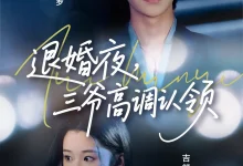 最新短剧《退婚夜三爷高调认领张集骏》全集在线免费观看-野人短剧网