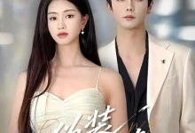 最新短剧《伪装错撩》全集在线免费观看-野人短剧网