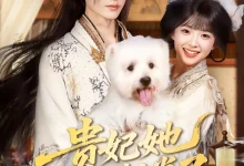 最新短剧《贵妃她不想卷了》全集在线免费观看-野人短剧网