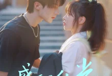 最新短剧《盛夏里的光》全集在线免费观看-野人短剧网