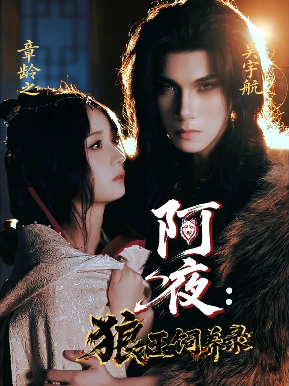 阿夜狼王饲养录(67集)高清海报图片 阿夜狼王饲养录(67集)海报