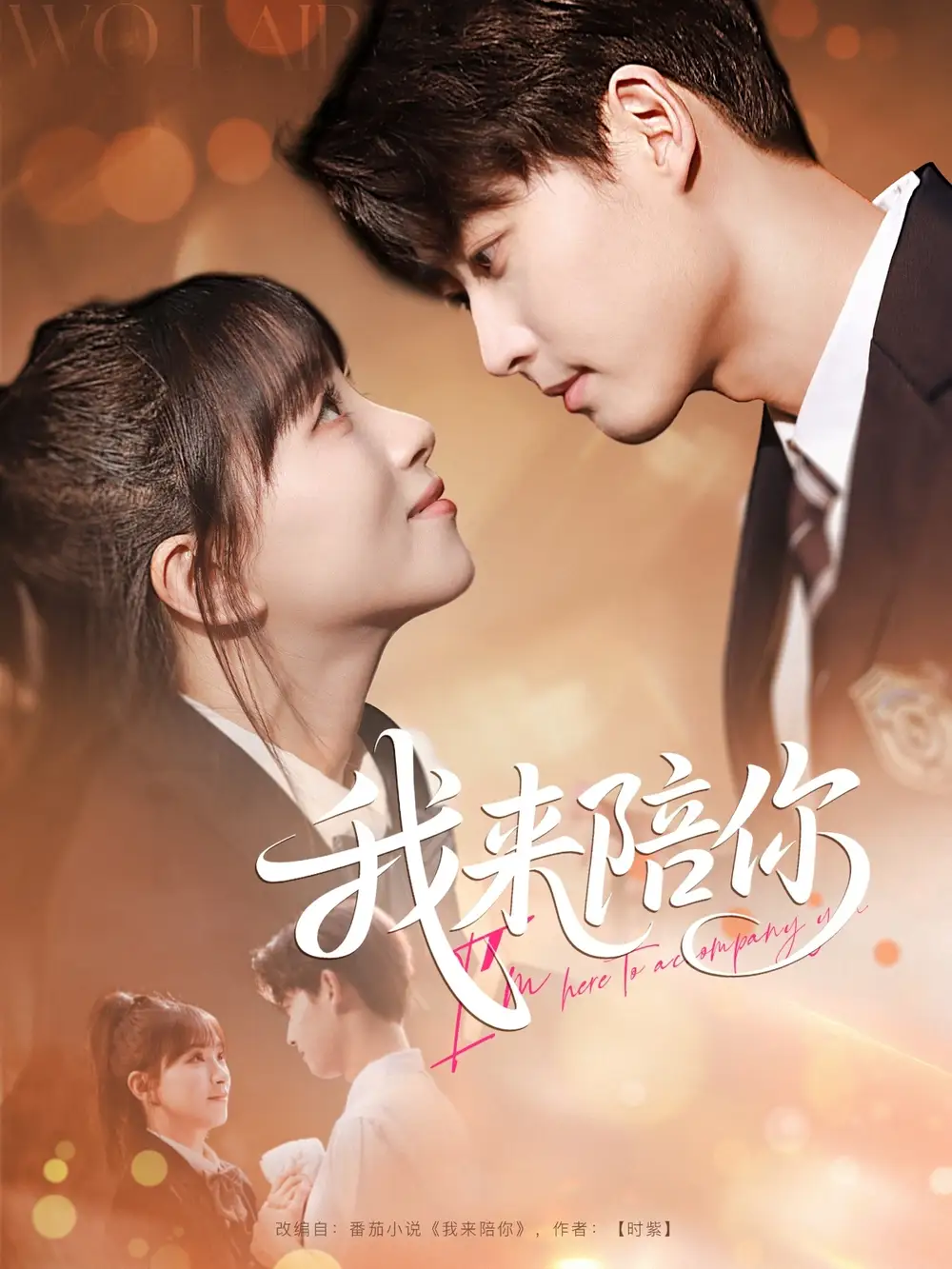 我来陪你(60集)高清海报图片 我来陪你(60集)海报