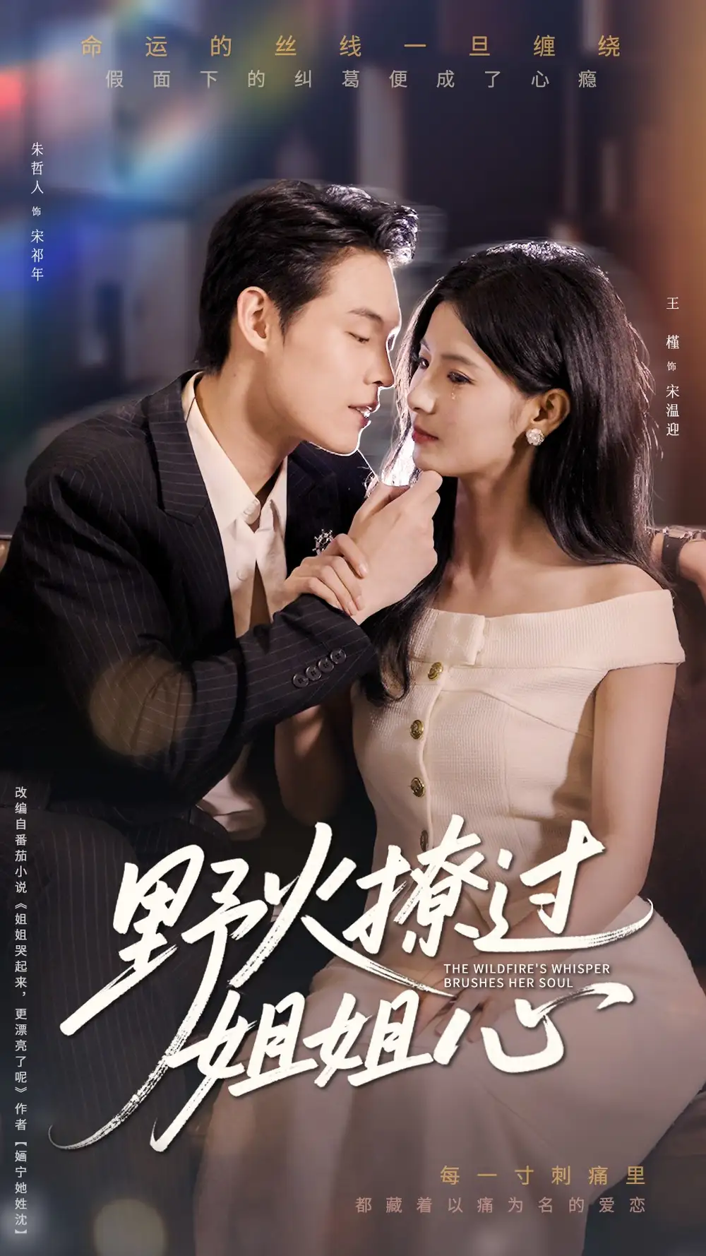 野火撩过姐姐心（97集）海报