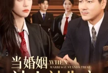 最新短剧《当婚姻站上被告席刘林》全集在线免费观看-野人短剧网