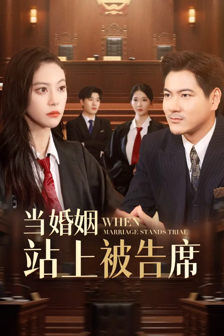 当婚姻站上被告席(30集)刘林&刘涵飞高清海报图片 当婚姻站上被告席(30集)刘林&刘涵飞海报