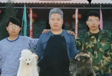 最新短剧《狐灾》全集在线免费观看-野人短剧网