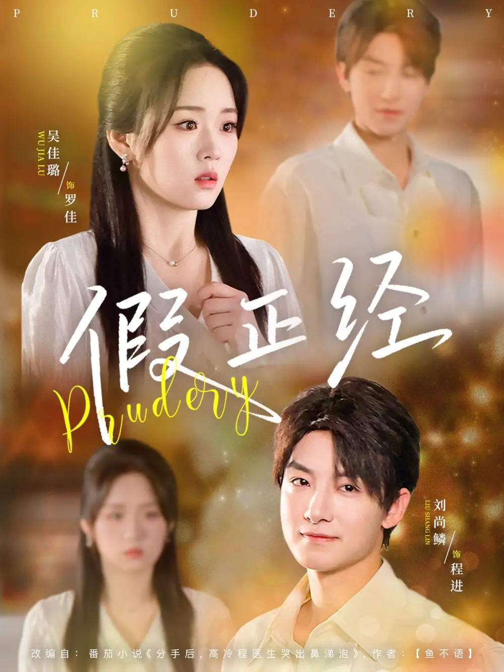 假正经（73集海报