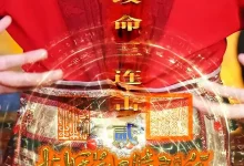 最新短剧《花妖乱了时间线2逆天改命三连击》全集在线免费观看-野人短剧网