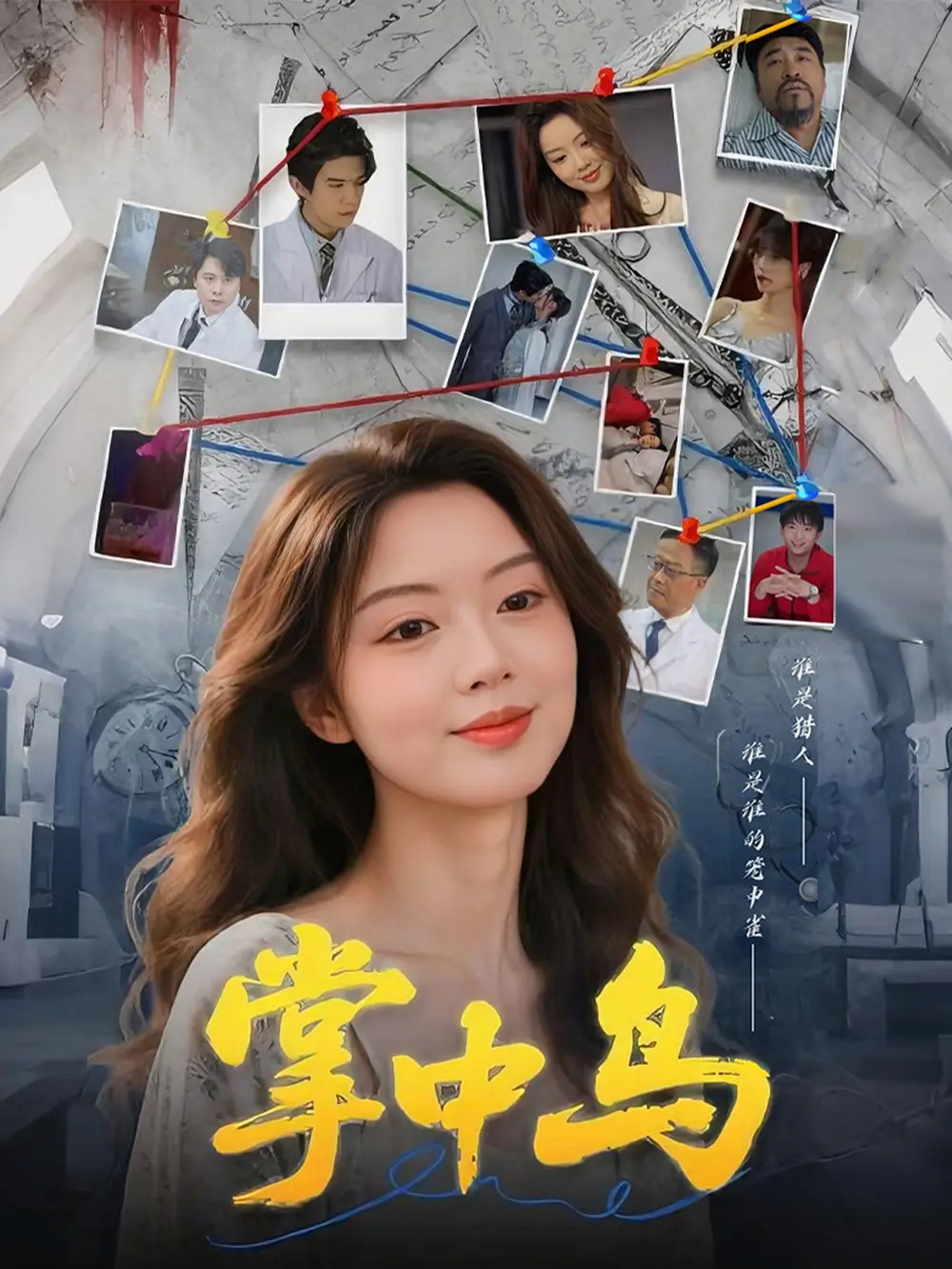 掌中鸟（42集）唐朵&李衡伟海报