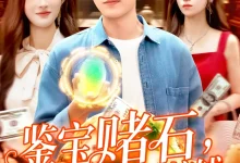 最新短剧《鉴宝赌石,双眼变异开始搞钱》全集在线免费观看-野人短剧网