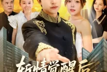 最新短剧《斩情觉醒后我横扫了一切》全集在线免费观看-野人短剧网