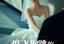 最新短剧《鸡飞狗跳的婚后生活》全集在线免费观看-野人短剧网