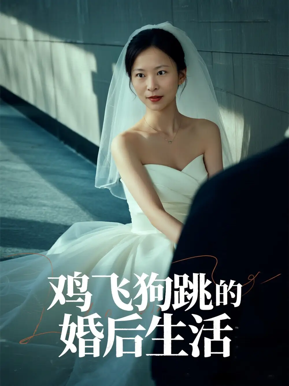 鸡飞狗跳的婚后生活(28集)高清海报图片 鸡飞狗跳的婚后生活(28集)海报