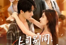 最新短剧《上司别闹哥只想应付催婚》全集在线免费观看-野人短剧网