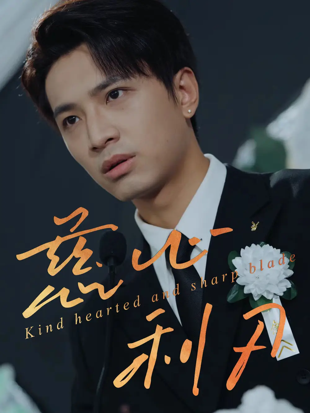 慈心利刃(30集)高清海报图片 慈心利刃(30集)海报