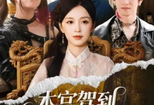 最新短剧《本宫驾到父慈子又孝唐之斐》全集在线免费观看-野人短剧网