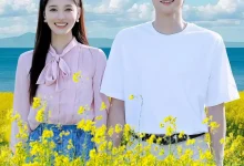 最新短剧《闪婚九零当后妈，我靠才华爆红了林振华,宋晓云》全集在线免费观看-野人短剧网