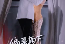 最新短剧《偏要摘下这朵野玫瑰》全集在线免费观看-野人短剧网