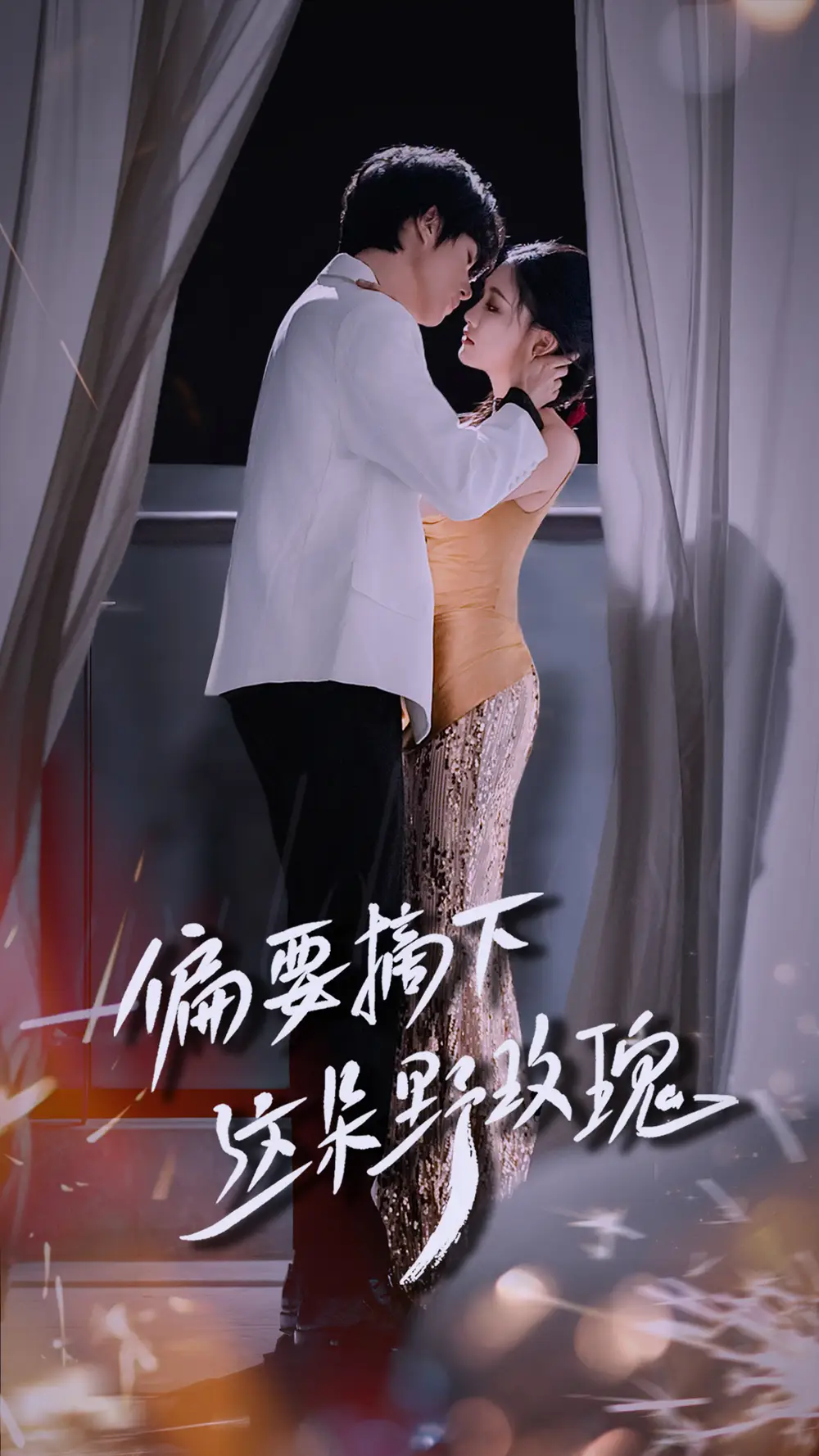 偏要摘下这朵野玫瑰（60集）海报