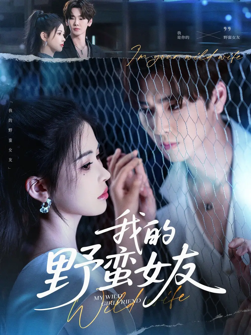 我的野蛮女友（80集）海报