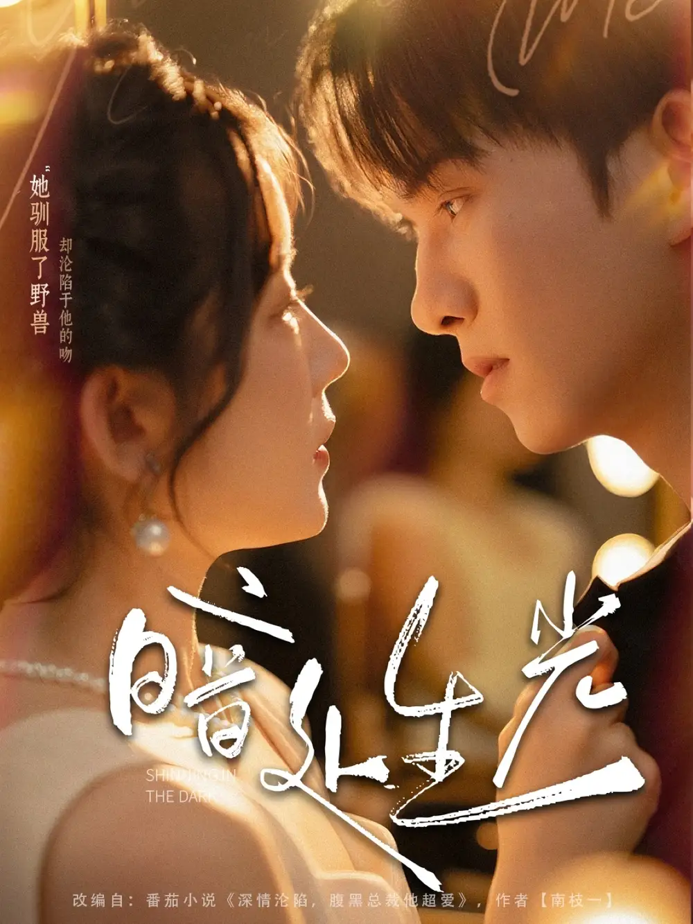 暗处生光(82集)莫书铭&冯易鑫高清海报图片 暗处生光(82集)莫书铭&冯易鑫海报