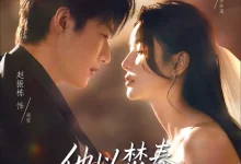 最新短剧《他以焚春吻长夏》全集在线免费观看-野人短剧网