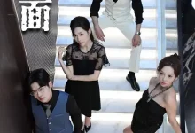 最新短剧《妻子的另一面周恬羽》全集在线免费观看-野人短剧网