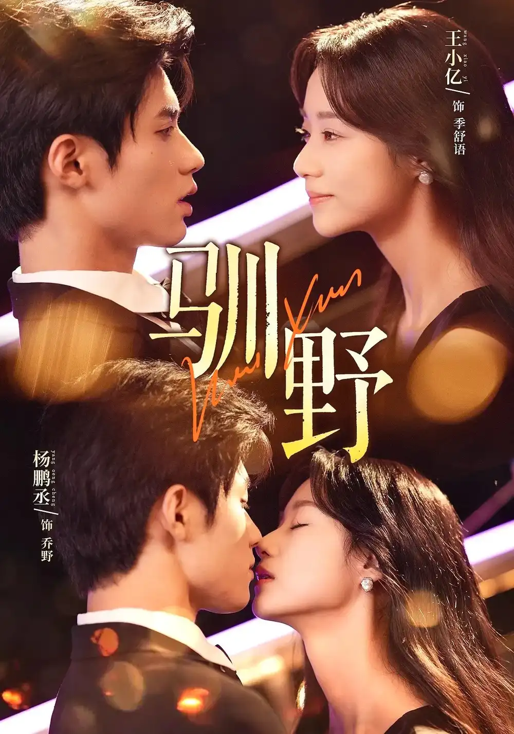 驯野(77集)高清海报图片 驯野(77集)海报