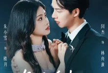 最新短剧《月落舟怀》全集在线免费观看-野人短剧网