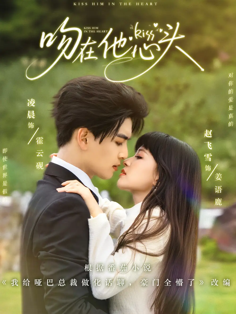 吻在他心头（60集）海报