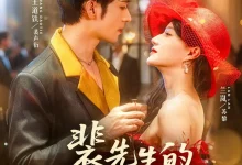 最新短剧《裴先生的野玫瑰兰岚》全集在线免费观看-野人短剧网