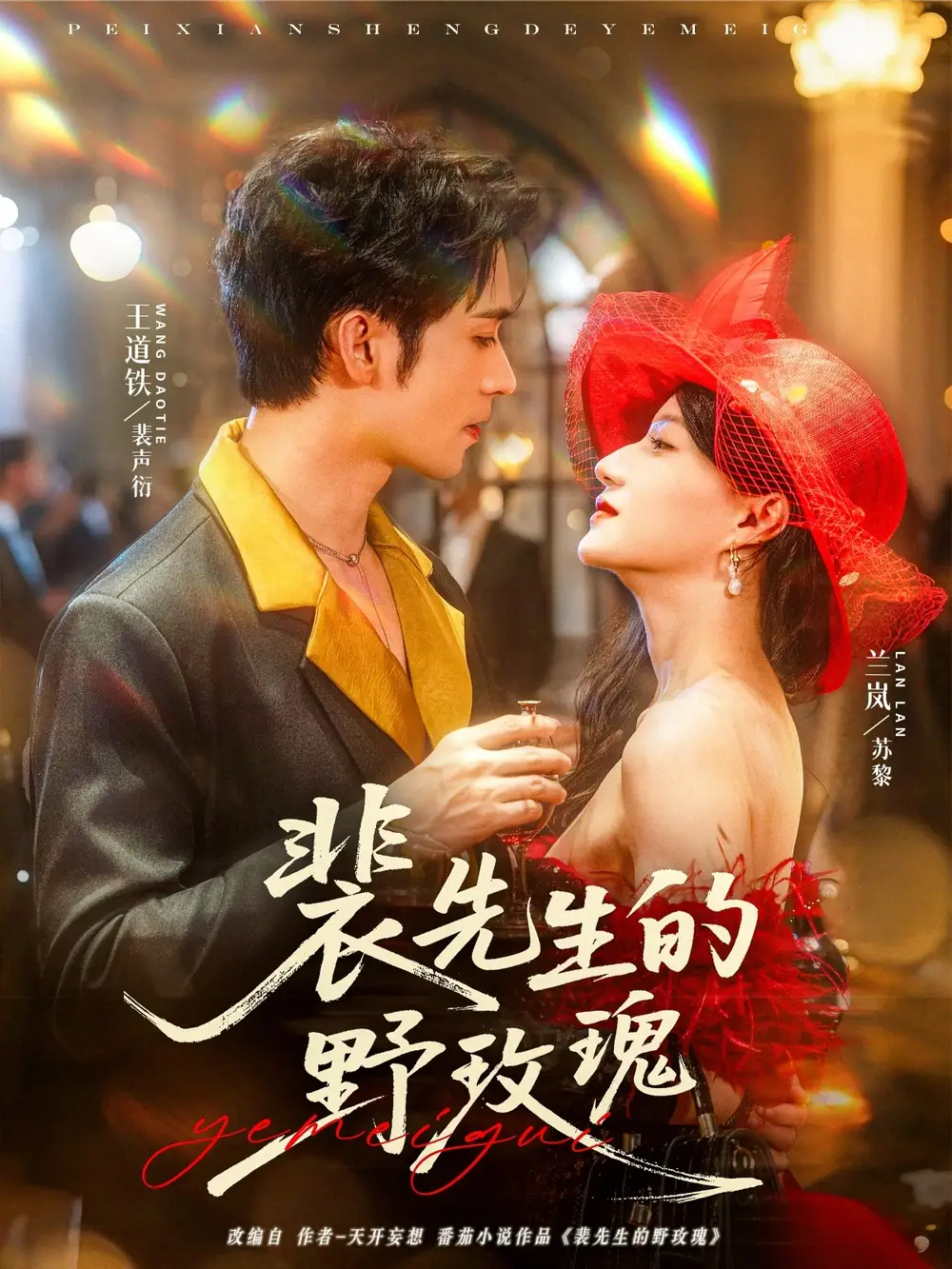 裴先生的野玫瑰（72集）兰岚&王道铁海报