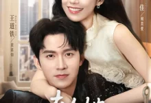 最新短剧《夫人她套路太深赵佳》全集在线免费观看-野人短剧网