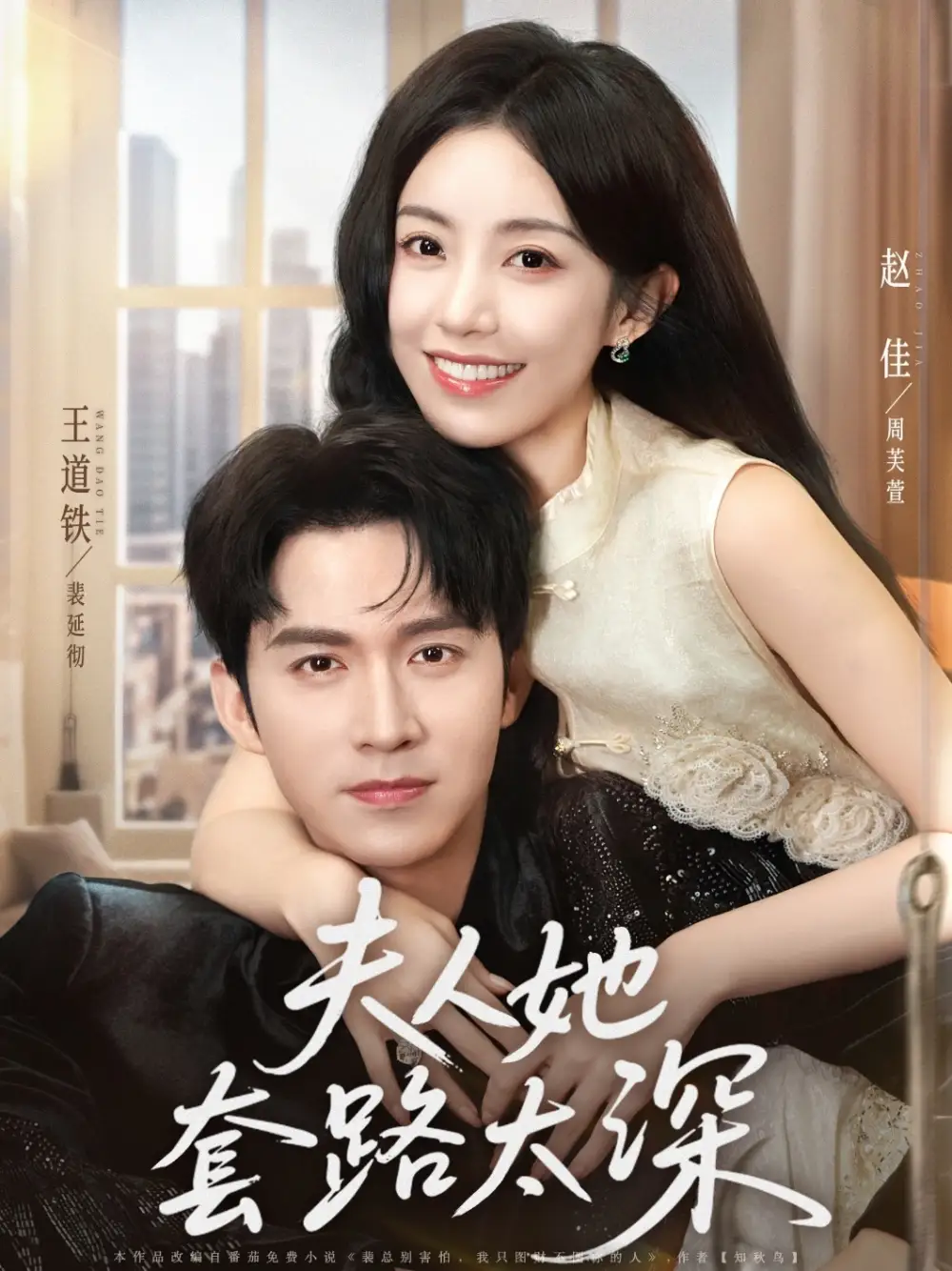 夫人她套路太深（81集）赵佳&王道铁海报