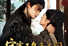 最新短剧《守寡五年无人问一朝龙胎天下知》全集在线免费观看-野人短剧网