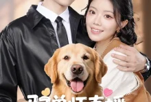 最新短剧《驭兽师直播听动物心声吃瓜破案》全集在线免费观看-野人短剧网