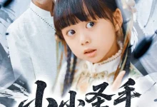 最新短剧《小小圣手定乾坤》全集在线免费观看-野人短剧网