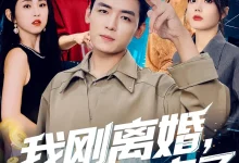 最新短剧《我刚离婚系统就来了苏文文》全集在线免费观看-野人短剧网