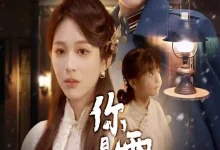 最新短剧《你是雪里的光》全集在线免费观看-野人短剧网