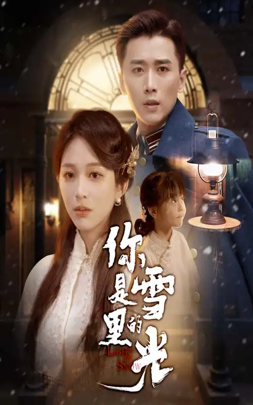 你是雪里的光（64集）海报