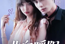 最新短剧《北向暖阳赵文轩》全集在线免费观看-野人短剧网