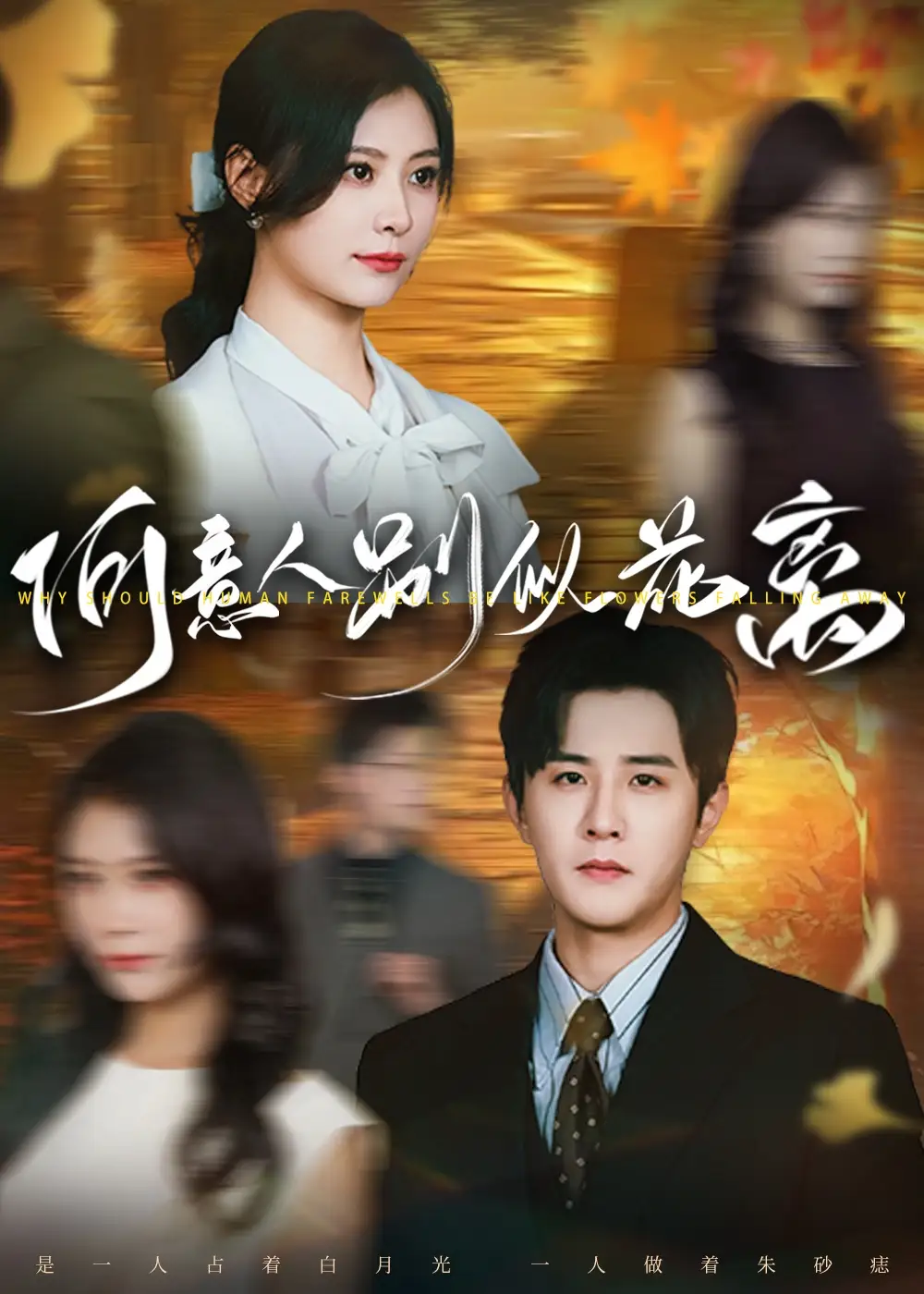 何意人别似花离（61集）海报