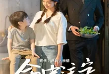 最新短剧《命中注定缘归来》全集在线免费观看-野人短剧网