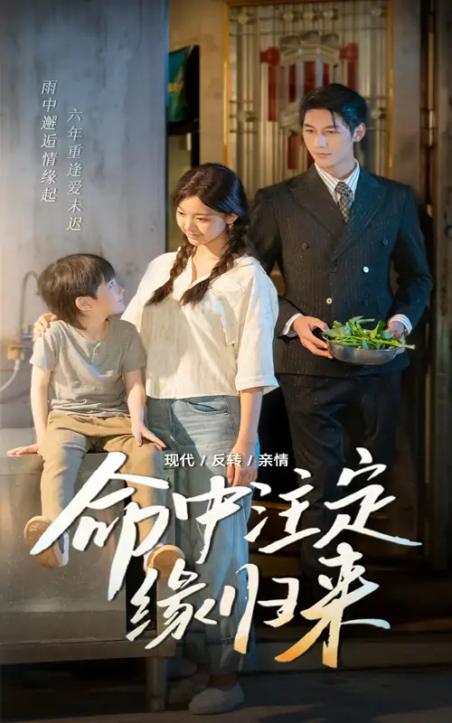 命中注定缘归来(63集)高清海报图片 命中注定缘归来(63集)海报