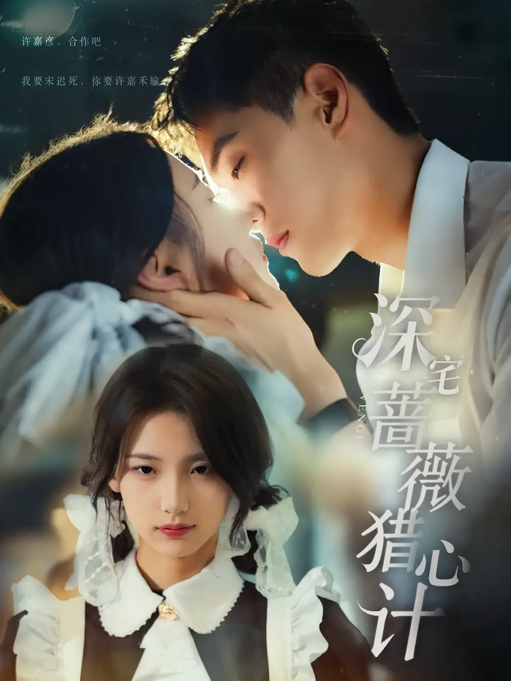 深宅蔷薇猎心计（66集）海报