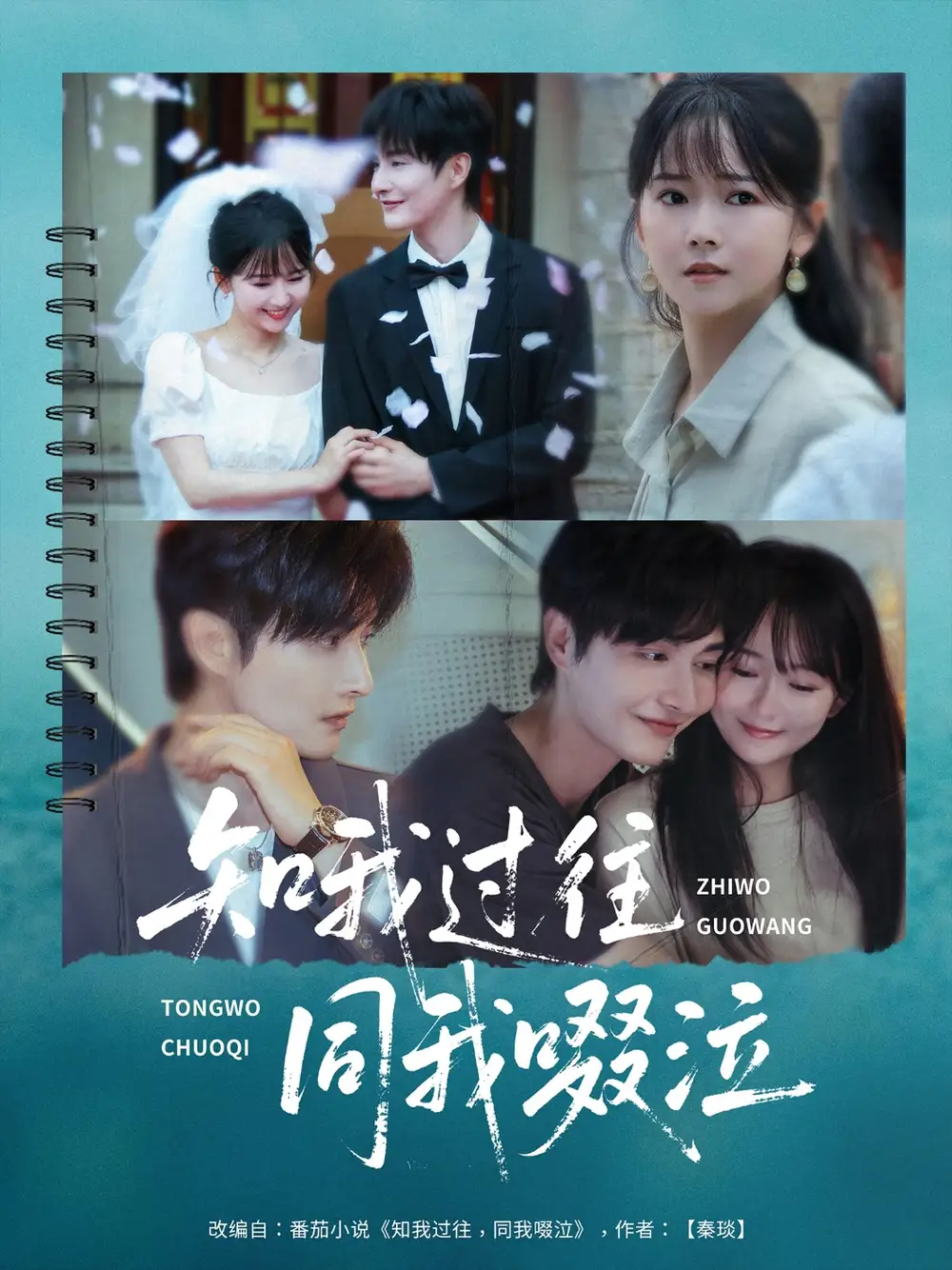 知我过往同我啜泣（60集）王雅淇海报